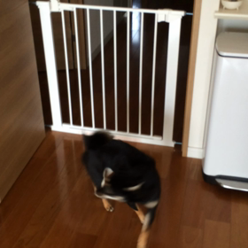 おとーちゃん、帰ってきたよ！の画像