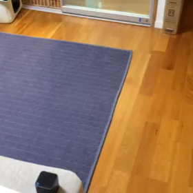 しょうゆVSブラーバの画像