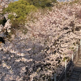 3月CAPD外来　の画像