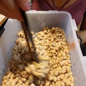 納豆の画像