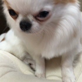 眠いの画像
