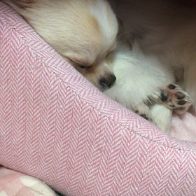 2016/01/25の画像