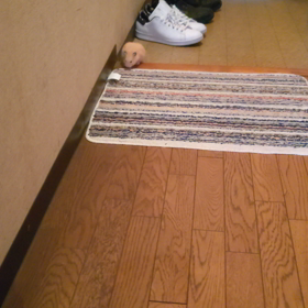愚痴でございます。の画像
