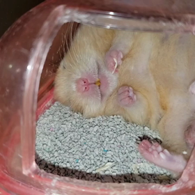 独り言の画像
