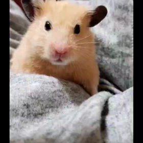 本日は、生誕祭。主賓はおりません。の画像