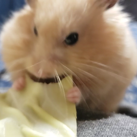 ひげが、、、の画像
