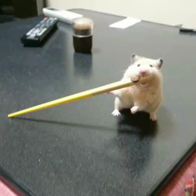ふと、考える。の画像