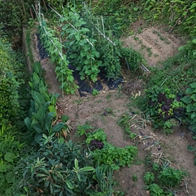 My  farmの画像