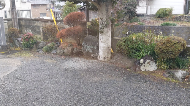 雪です！の記事動画