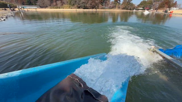 本日はヤシオマス放流でした〜♪の記事動画