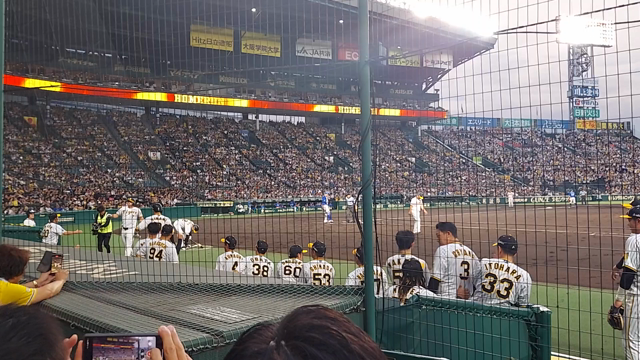 甲子園でしたーー！の記事動画