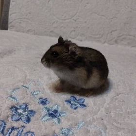 仕事。の画像