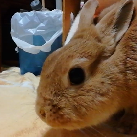Noタイトルの画像