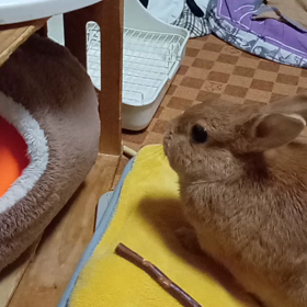 いよいよの画像