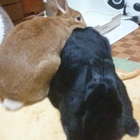 やめていただきたいことの画像