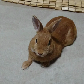 挑発の画像