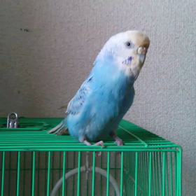 諸事情によりの画像