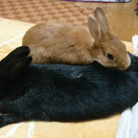 大好評につき。の画像