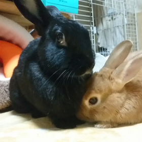 きびしぃ〜〜〜の画像