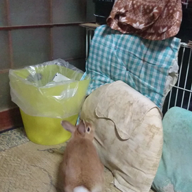 アグレッシブの画像