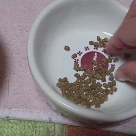 一粒の画像