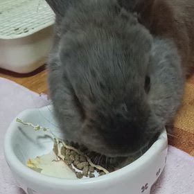 ビビりすぎましたの画像