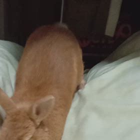 2025/02/18の画像