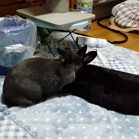 ねぇさん☆スキスキの画像
