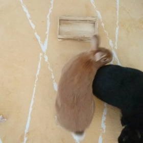 クルクルクルクルの画像