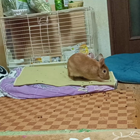 いつも通りに過ごそうの画像
