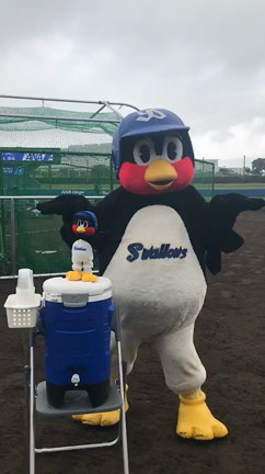 こーたろーこーちからのおくりもの。の記事動画
