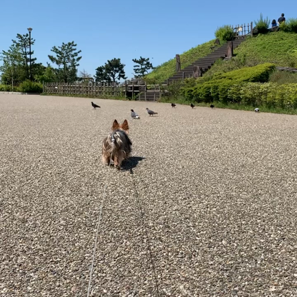 快晴の記事動画