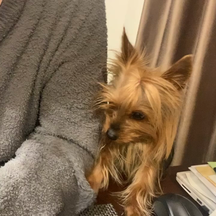 似たもの同士の記事動画