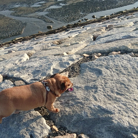 走ってますよ。の画像