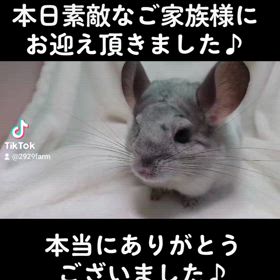 お迎え頂きました♪の画像