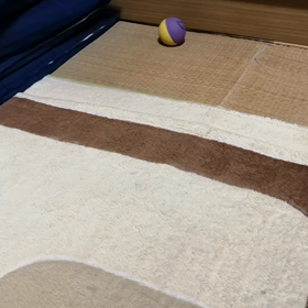 #跳ねるの画像