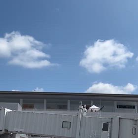 テストの画像