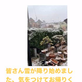 2024/02/05の画像