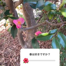2024/02/14の画像