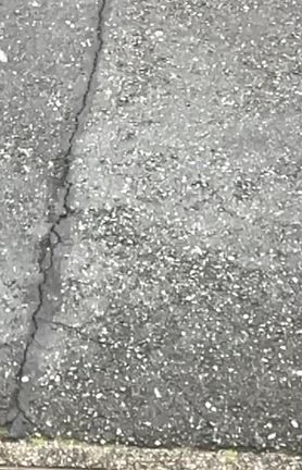 　#本日のおうちごはん⁈(酒の肴) ／  衆議院選挙日　／   積雪の記事動画
