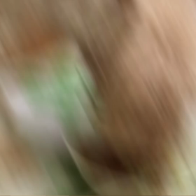 愛犬ちゃんと『ペッタムダンス♪』リズムがクセにぃなる❗️の画像
