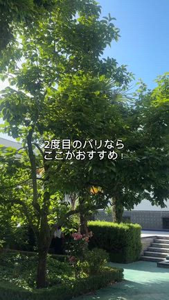 【パリのオアシス】意外と知らない！２度目のパリにおすすめ　グランド・モスケ・ドゥ・パリの記事動画
