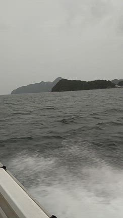 リニューアルオープン！の記事動画