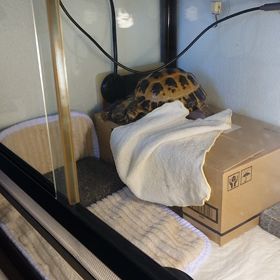 やっぱり放置し過ぎちゃうな…の画像