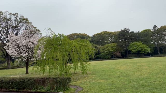 演奏会の記事動画