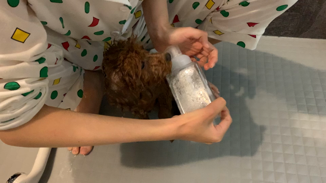 曲げわっぱに願いを込めて（^人^）✩°｡の記事動画