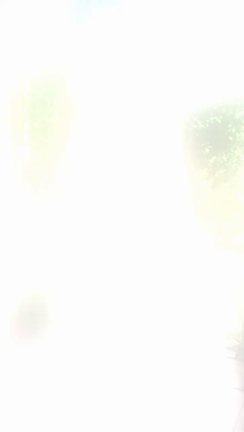 フラリエイベントの記事動画