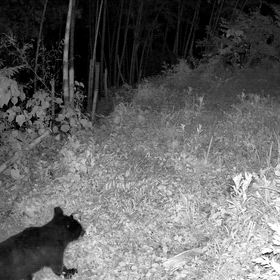 MAN vs. WILDの画像