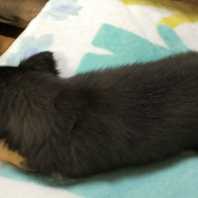 いただいてますo(*''▽''*)/☆ﾟ’の画像