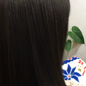 努力は裏切らない　の画像